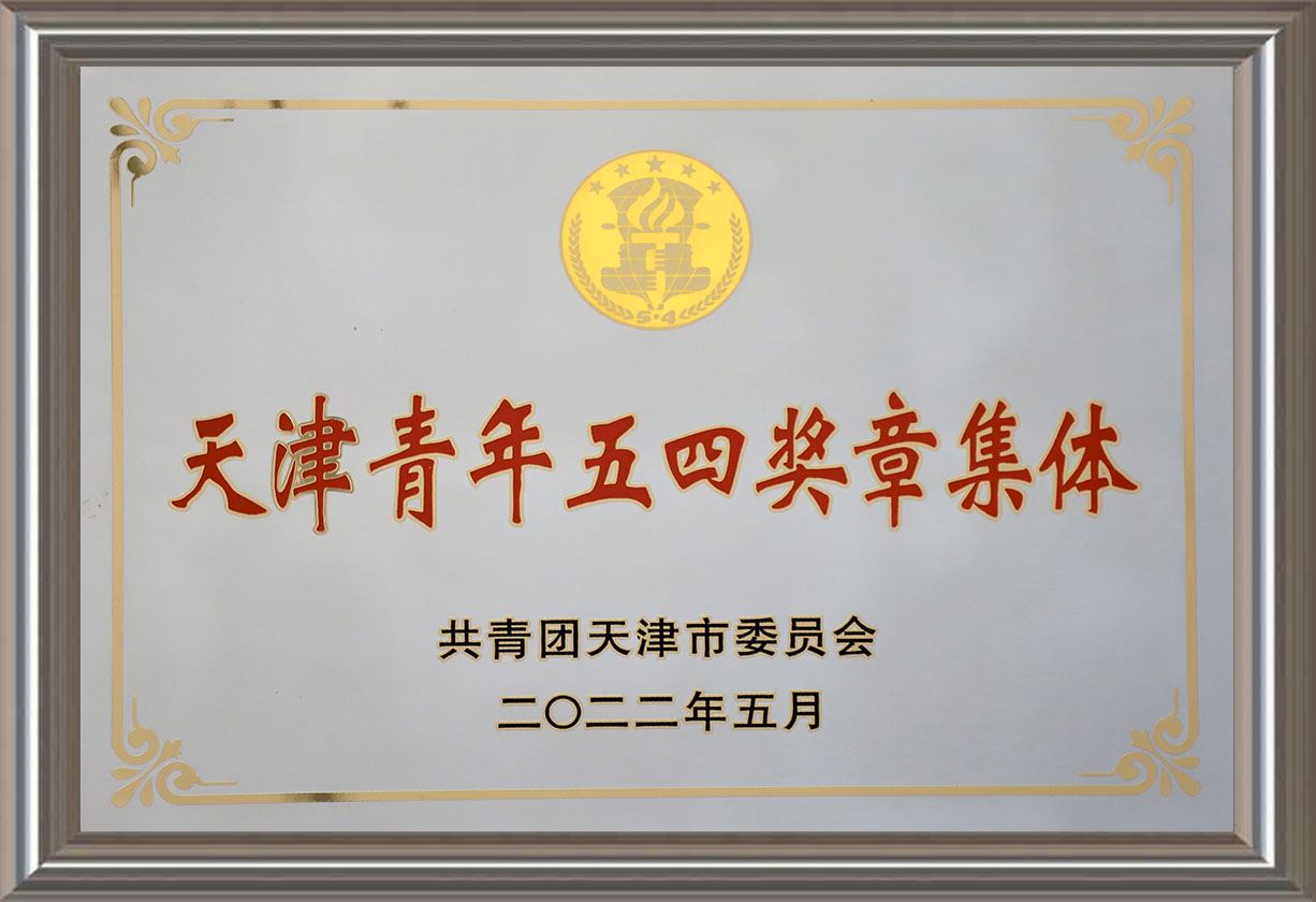 天津青年五四獎章集體